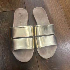 Splendid Gold Slides